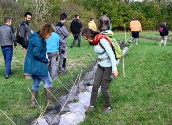 Comment planter une haie sans se planter ?