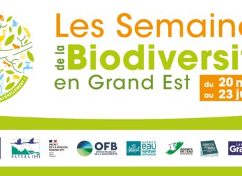 Biodiversité : 4 semaines pour passer à l’action !