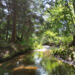 Restauration de l&rsquo;Arentèle