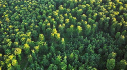 Ciné-débat : Forêts françaises, en quête d’avenir