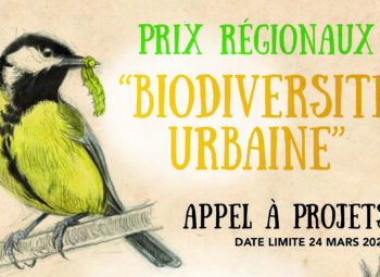 Appels à projets : prix régionaux biodiversité urbaine 2024