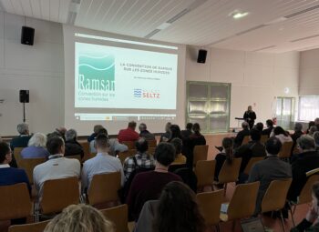 Séminaire Ramsar site transfrontalier « Rhin supérieur – Oberrhein »
