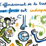 Assises de l’engagement pour la biodiversité : dynamisons le potentiel citoyen en Grand Est !