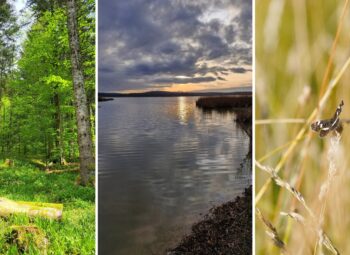 Concours photo Natura 2000 au fil des saisons