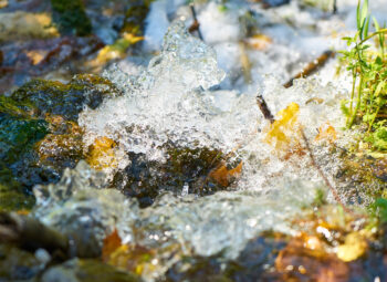 Idées reçues sur l’eau et sa gestion