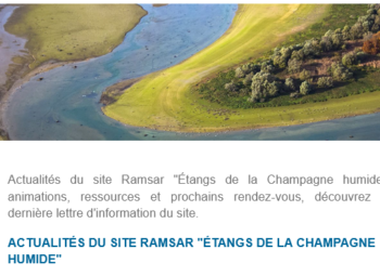 RECEVEZ LES ACTUALITÉS DU SITE RAMSAR « ÉTANGS DE LA CHAMPAGNE HUMIDE »