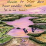 Formation « Trésors cachés : explorer le site Ramsar des Étangs de la Champagne humide »