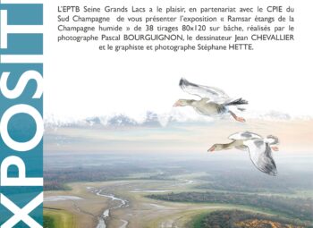 Exposition en extérieur : le site Ramsar des Etangs de Champagne humide