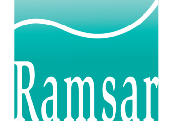 Lancement du deuxième Document d&rsquo;Orientation du site Ramsar « Etangs de la Champagne humide »