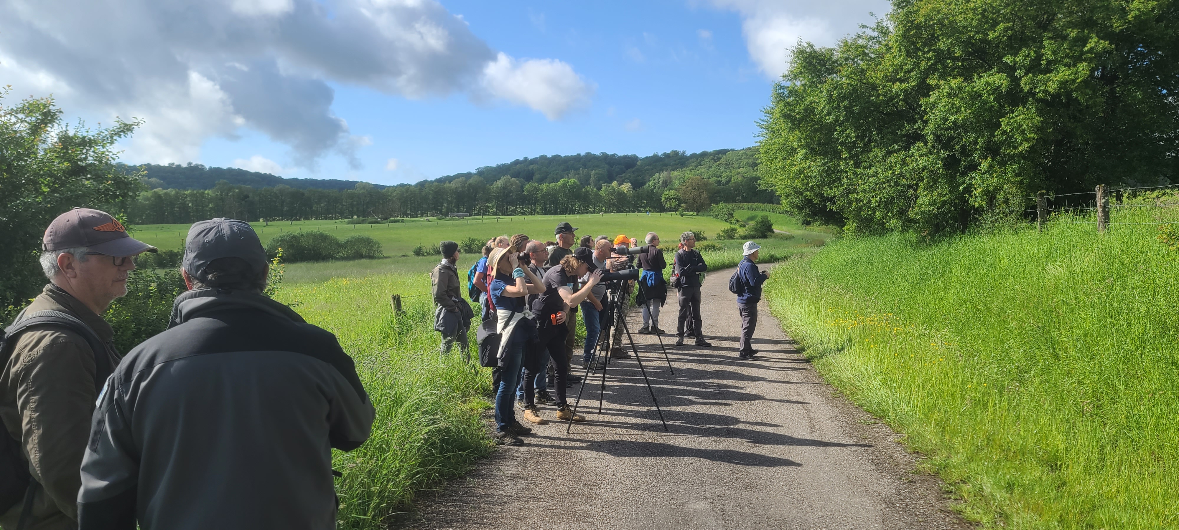 Sortie d’observation des oiseaux