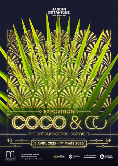 Coco & co