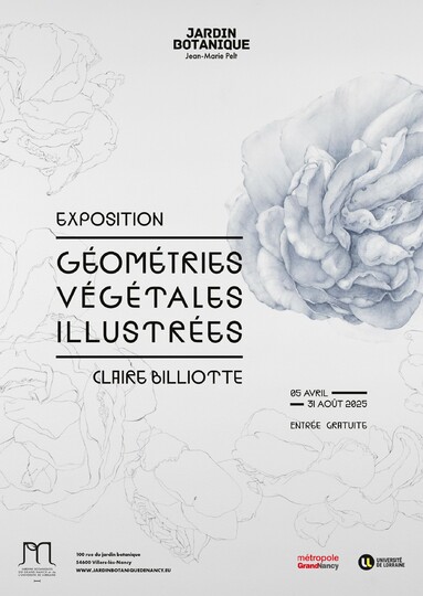 Géométries végétales illustrées