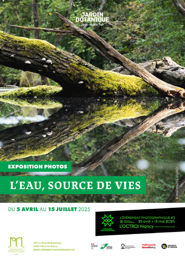 L’eau, source de vies