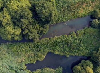 Connaissez-vous les milieux naturels du Grand Est ?