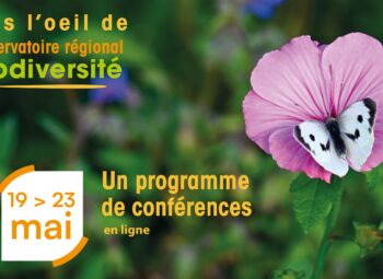 Dans l’œil de l’Observatoire : cycle de conférences