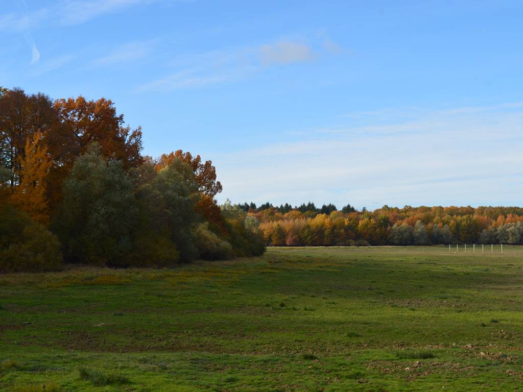 Hampigny en histoire : Balade contée au coeur des prairies humides