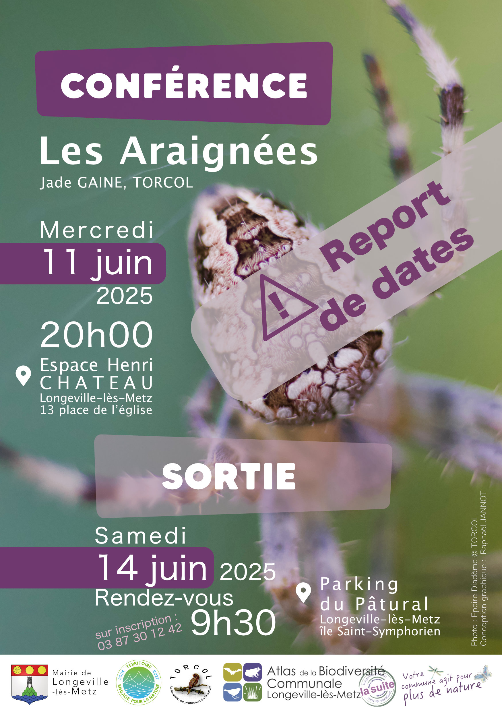 Les Araignées