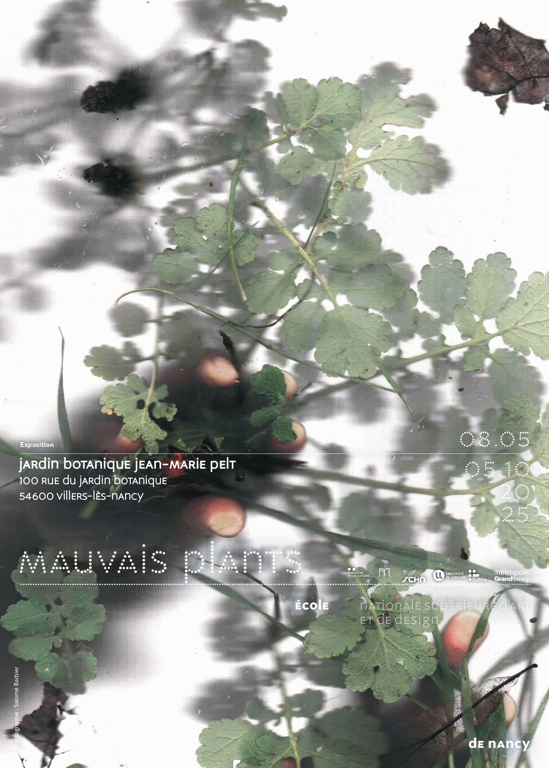 Mauvais Plants