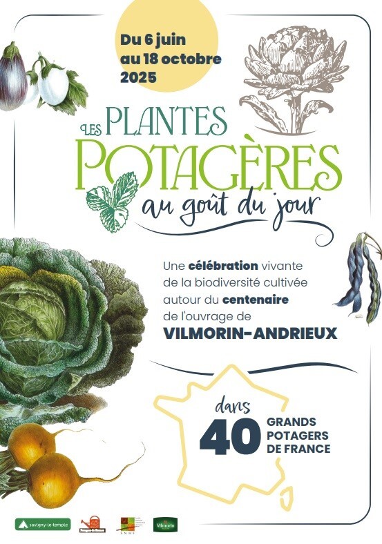 Les plantes potagères au goût du jour