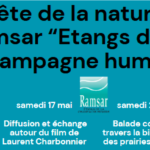 Fête de la nature sur le site Ramsar « Etangs de la Champagne humide »