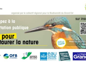 Concertation publique Agir pour restaurer la nature
