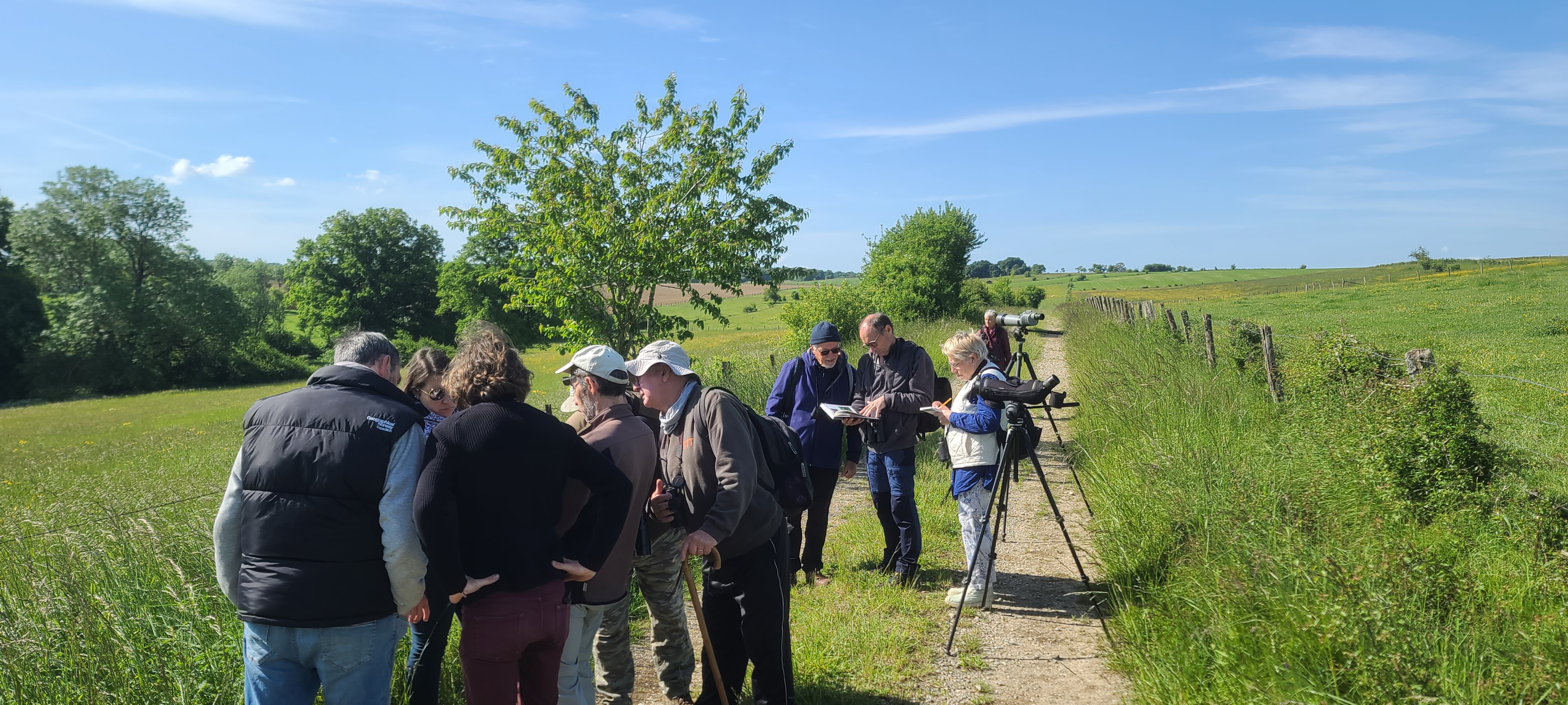 Sortie d’écoute et d’observation des oiseaux