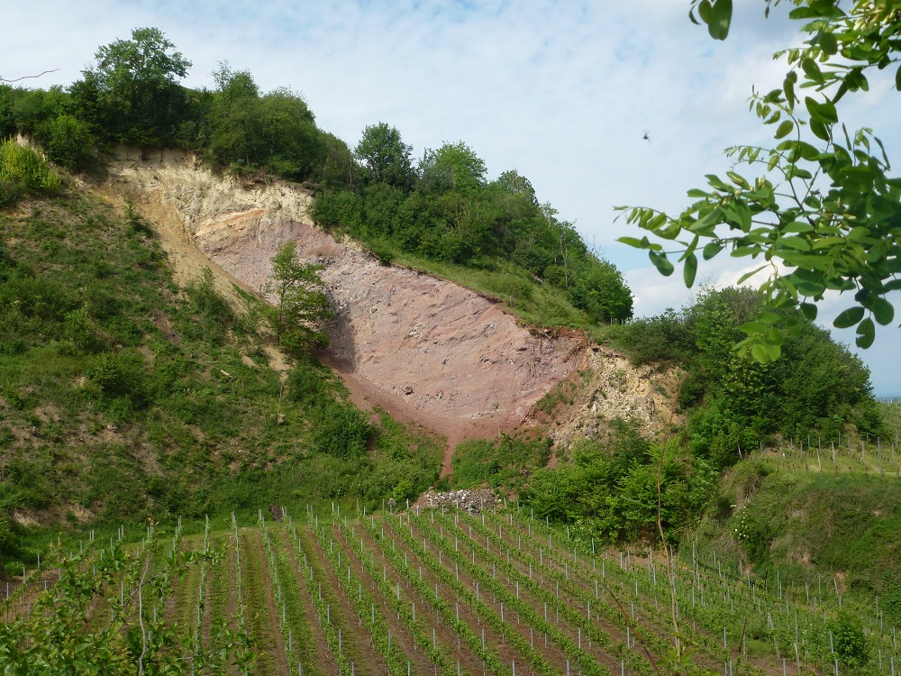 Le Kaiserstuhl, un volcan dans la plaine du Rhin