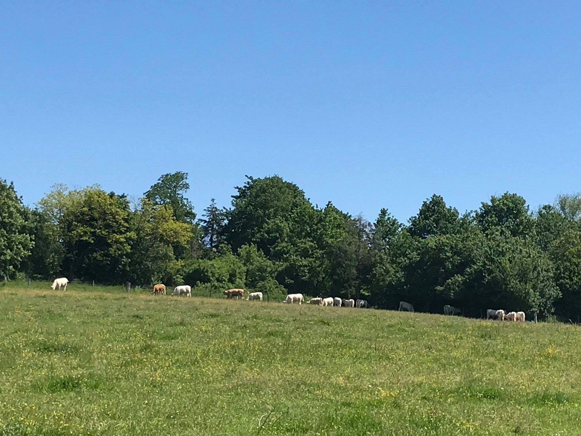 Quand Agriculture rime avec Nature