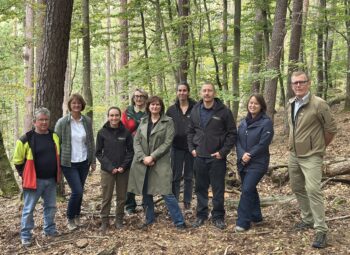 Lichtenberg consacre 20 hectares de forêt à la libre évolution avec le soutien de la Fondation ENGIE