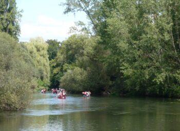 Sensibilisation estivale sur les rivières du Brunnwasser et de la Moder
