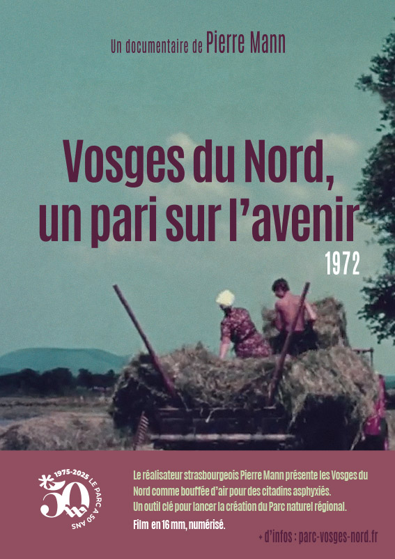 Les Vosges du Nord, un pari sur l’avenir