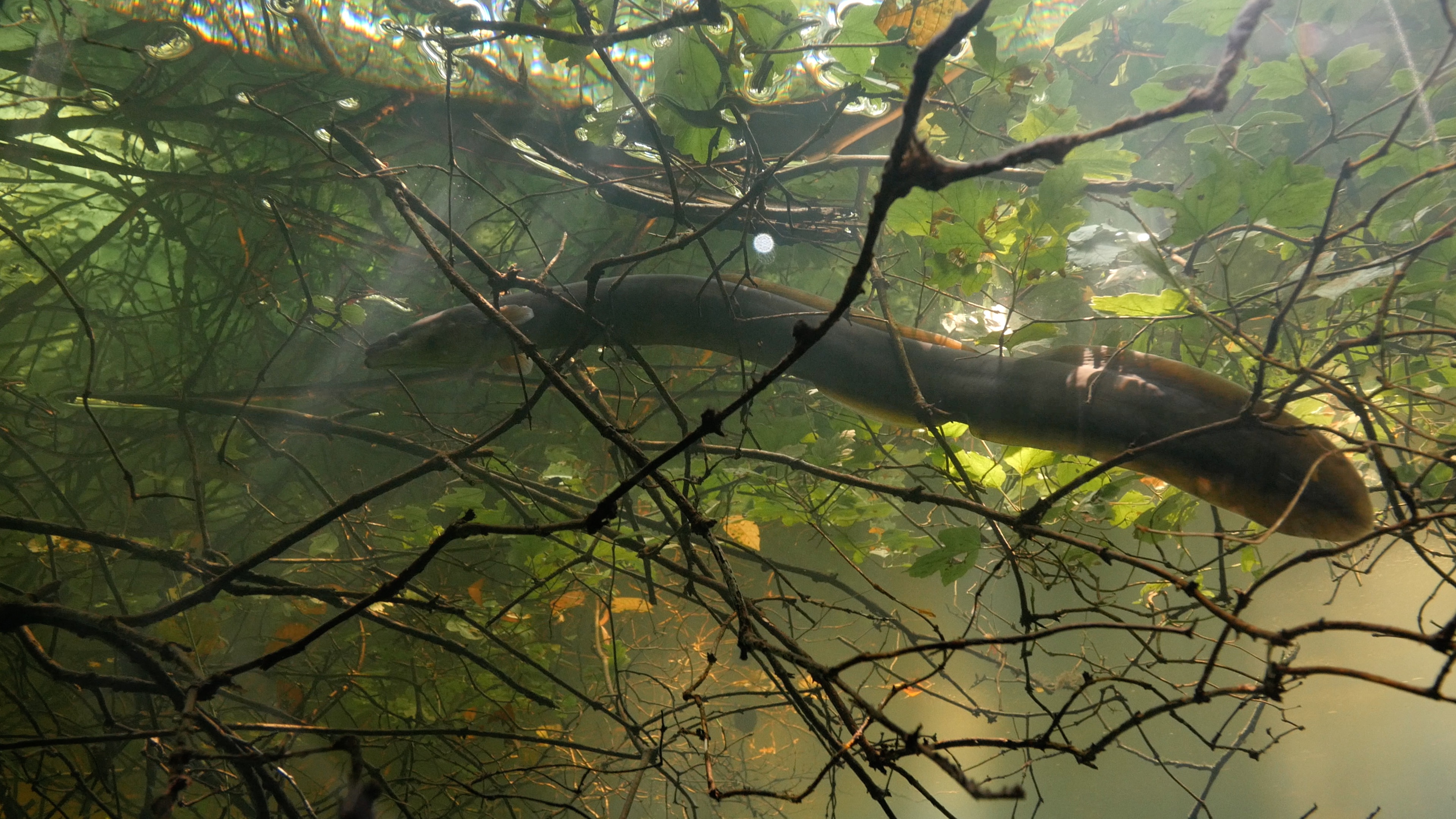 Le fleuve invisible