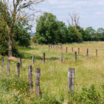 [Webinaire] L’acquisition grâce à la convention de portage SAFER