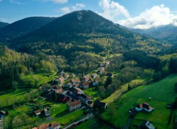 Milieux agricoles ou naturels : les fondamentaux du foncier