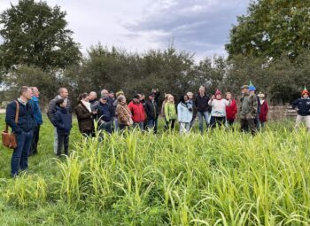 À la Ferme Hoeffel, agriculture rime avec nature