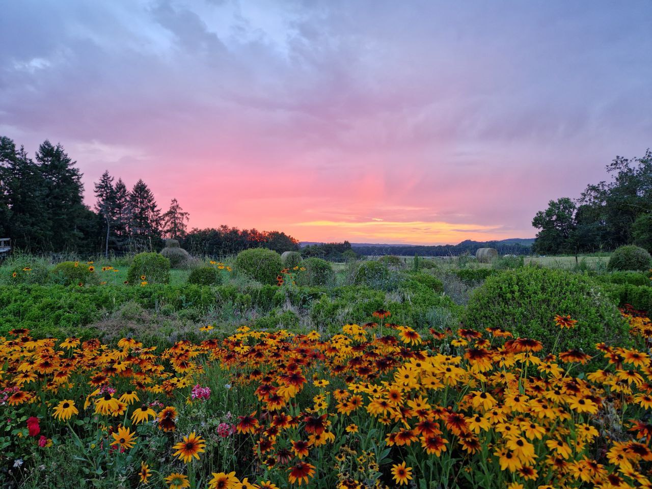 Représentant de la société