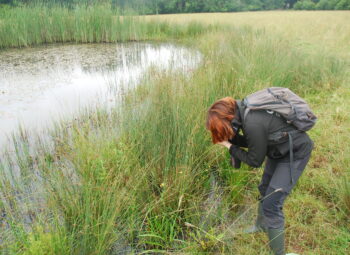 « Les mares, des laboratoires vivants où s’exprime une biodiversité fragile »