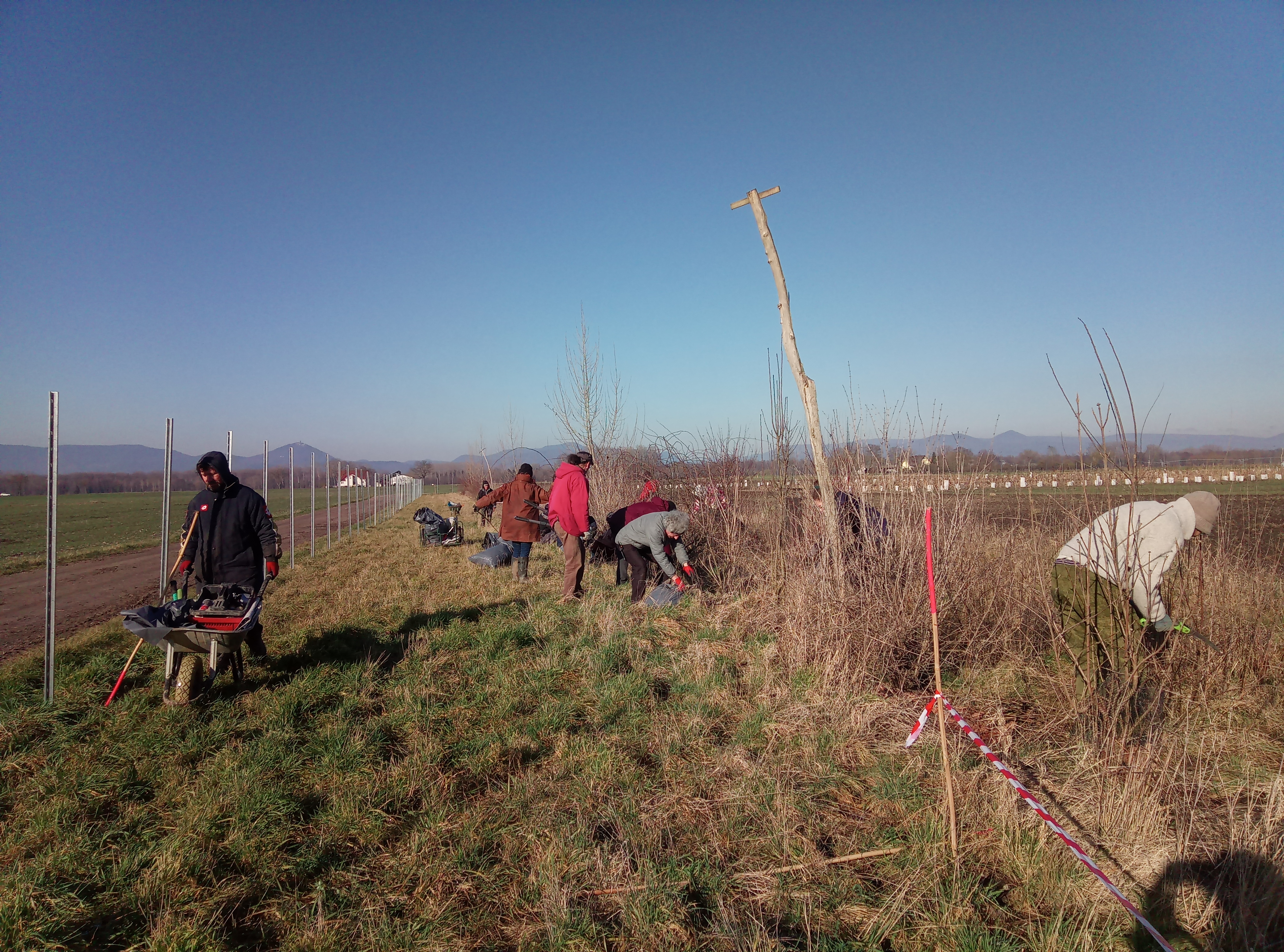 Atelier Gestion durable des haies