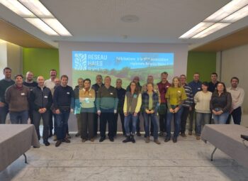 Réseau Haies Grand Est, l&rsquo;union fait la force