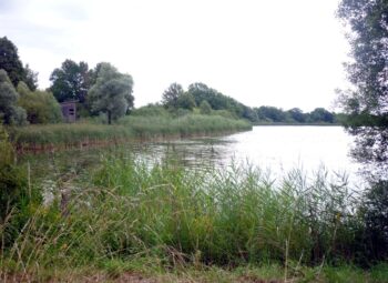 Réserves Naturelles Régionales (RNR) : 20 ans d&rsquo;action au service des territoires