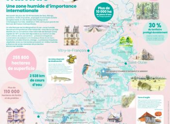 Le poster du site Ramsar « Etangs de Champagne humide » est sorti !