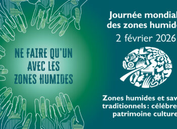 Journée mondiale des zones humides 2026