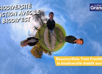 La biodiversité en action avec le LIFE Biodiv’Est : Bouzonvillois Trois Frontières – Sur les routes du vivant | Épisode 2/3