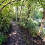 Séminaire annuel Ramsar site transfrontalier « Rhin supérieur – Oberrhein »