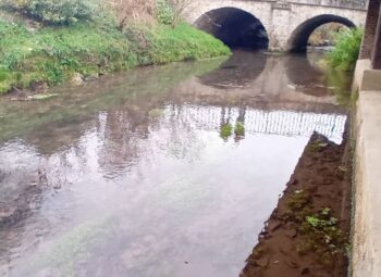 Sensibilisation aux ruisseaux à Esternay avec la CANE et MNE