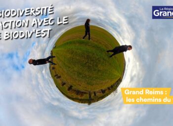 Ep.3/3 | La biodiversité en action avec le LIFE Biodiv’Est : Grand Reims, les chemins du vivant