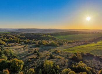 Consultation : Vers un service de restauration de la nature