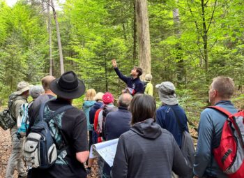 Le Parc naturel régional des Ballons des Vosges fête 30 ans d’animation Natura 2000