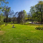 A la découverte de la faune et de la flore en milieu urbain : balade naturaliste dans le Parc de la Pépinière