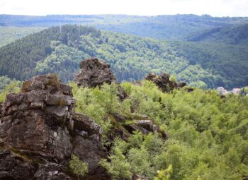 Connaissez-vous les grandes régions naturelles de Champagne-Ardenne ?